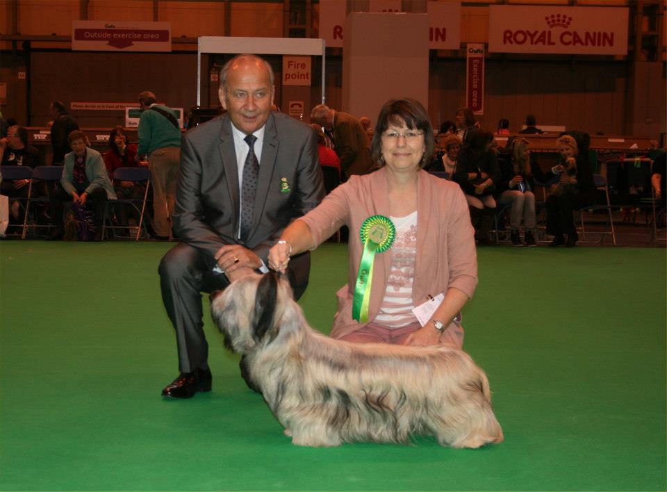 BEST PUPPY Dog Res CC Brakemill Barnum