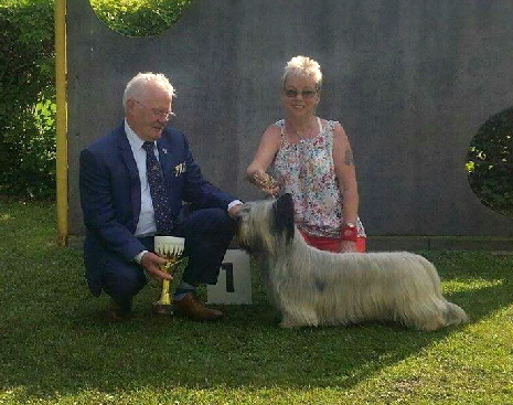 20563058_1931253320222052_1568933677_n