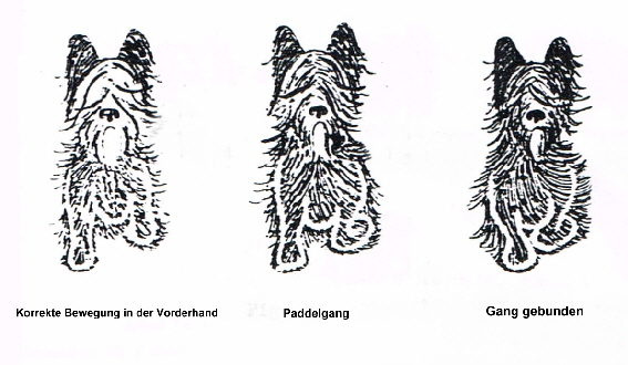 Bild28