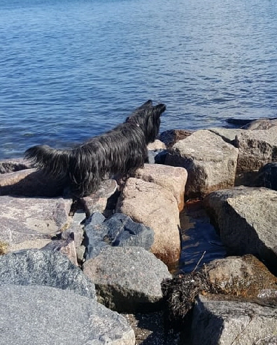 IMG-20190319-WA0014