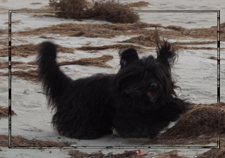 2008_1019Urlaub-2008-Sonntag0068