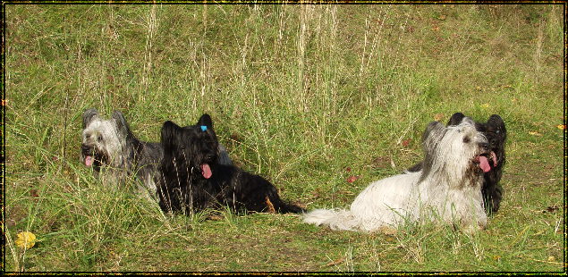 2008_1020Urlaub-2008-montag-10042