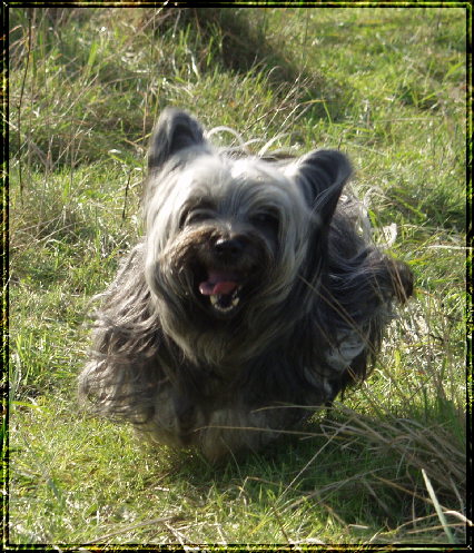 2008_1020Urlaub-2008-montag-10082