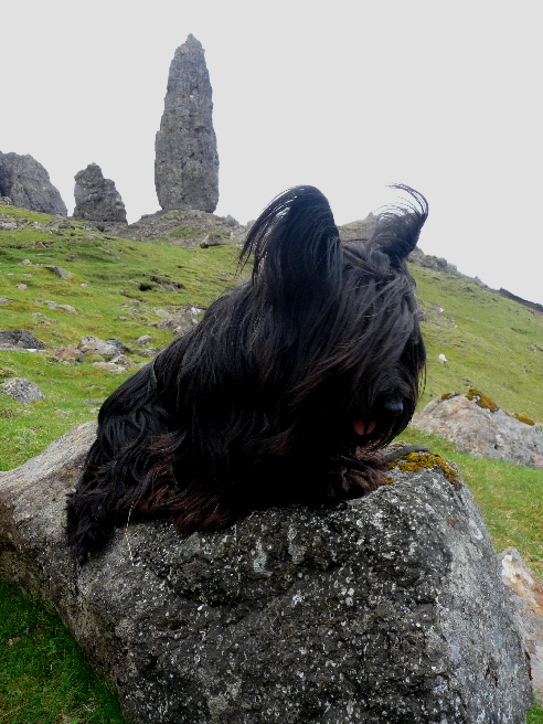 Glorfindel Messalina at Marrcrieff - am Old Man of Storr