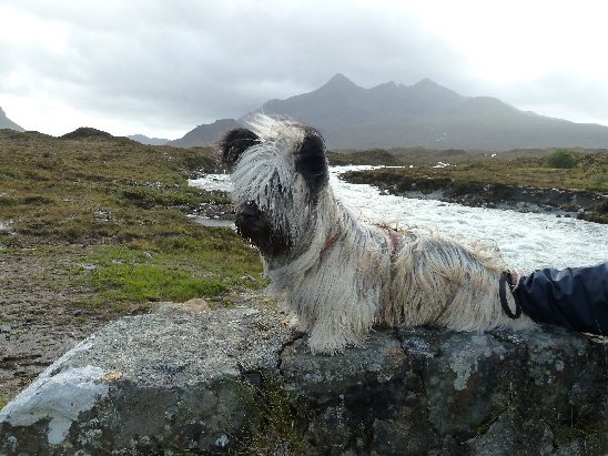 Lam Baias Mad at Marrcrieff - im Hintergrund die Cullins