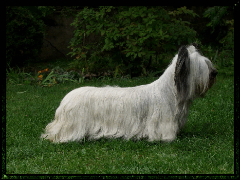 bondisteht.jpgrahmen