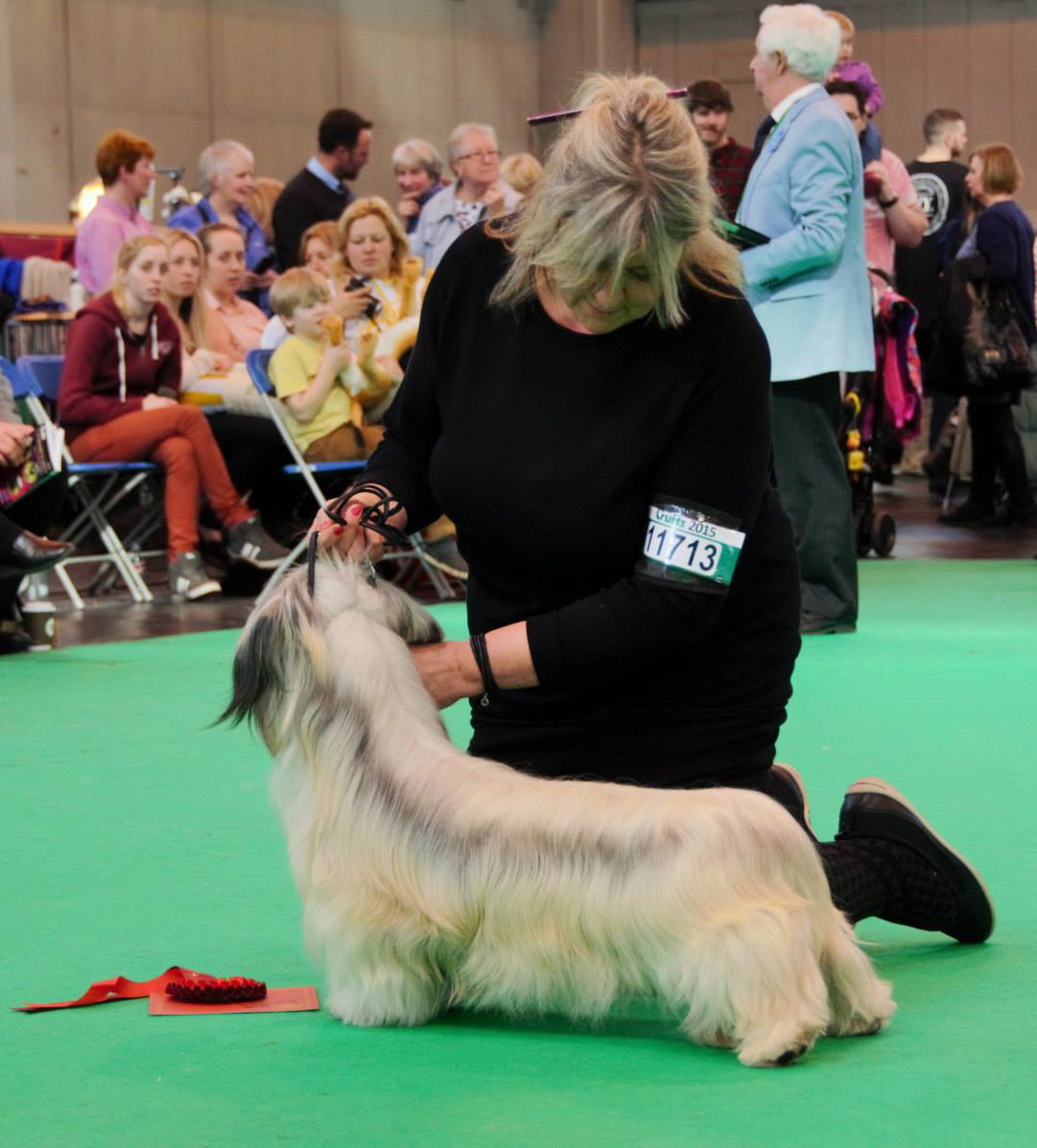 winner junior dogs Skyewalker's One Foot wrong